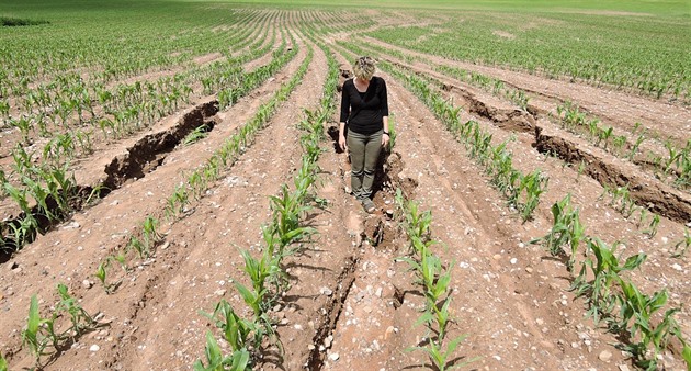 Ochrana proti erozi není třeba, rozhodl europarlament. Čeští zemědělci slaví