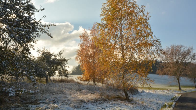 VÝSTRAHA před mrazem a náledím platí pro většinu území. Přidá se sněhová nadílka