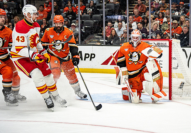 Rittich s Palátem slavili za Islanders, Dostál jede na vítězné vlně