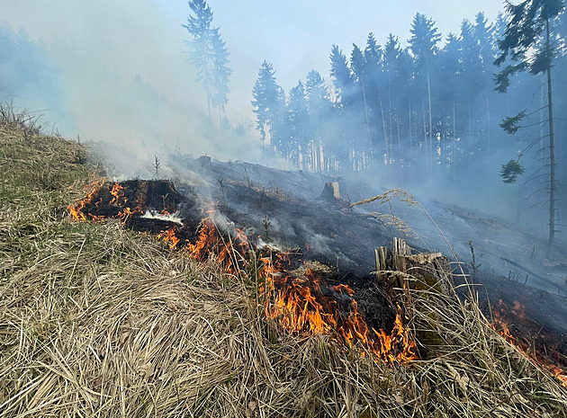 Ve Valtířově na Ústecku hořel v obtížném terénu les, oheň likvidoval i vrtulník
