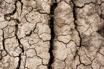 Blížící se vlna veder ještě zhorší už tak extrémní sucho