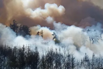 Hasiči zasahují u požáru lesa na Strakonicku