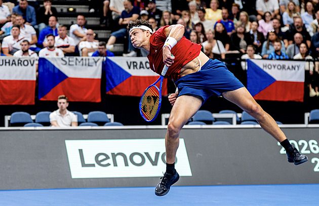 Zase prohra s Čechy! Za US Open máš víc peněz, říkal skleslému Sheltonovi kapitán