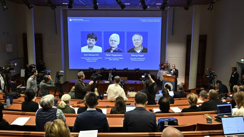 Odhalili, jak řídit mozek světlem. Nobelovu cenu mají tři vědci, jejich metoda už léčí