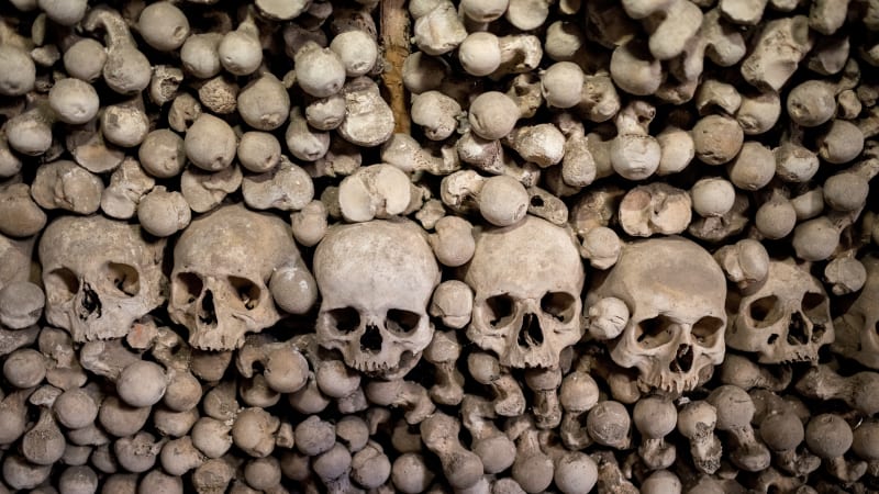 Mor je pořád blízko. Poslední epidemie v Praze vyhladila roku 1713 skoro třetinu města